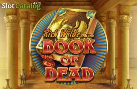 Royal Jeet customer support chat